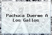 <b>Pachuca</b> Duerme A Los Gallos