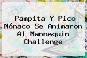 Pampita Y Pico <b>Mónaco</b> Se Animaron Al Mannequin Challenge