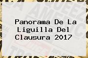 <b>Panorama De La Liguilla Del Clausura 2017</b>