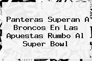 Panteras Superan A Broncos En Las Apuestas Rumbo Al <b>Super Bowl</b>