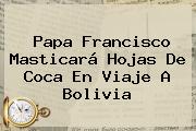 Papa Francisco Masticará Hojas De Coca En Viaje A <b>Bolivia</b>