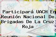 Participará <b>UACH</b> En Reunión Nacional De Brigadas De La Cruz Roja