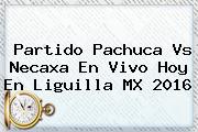 Partido <b>Pachuca Vs Necaxa</b> En Vivo Hoy En Liguilla MX 2016