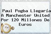 Paul <b>Pogba</b> Llegaría A Manchester United Por 120 Millones De Euros