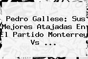 Pedro Gallese: Sus Mejores Atajadas En El Partido <b>Monterrey Vs</b> ...