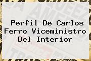 Perfil De <b>Carlos Ferro</b> Viceministro Del Interior