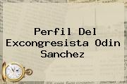 Perfil Del Excongresista <b>Odin Sanchez</b>