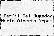 Perfil Del Jugador <b>Mario Alberto Yepes</b>