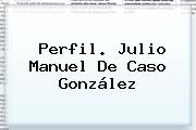 Perfil. <b>Julio Manuel De Caso González</b>