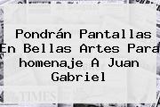 Pondrán Pantallas En Bellas Artes Para <b>homenaje A Juan Gabriel</b>
