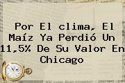 Por El <b>clima</b>, El Maíz Ya Perdió Un 11,5% De Su Valor En <b>Chicago</b>