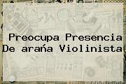 Preocupa Presencia De <b>araña Violinista</b>