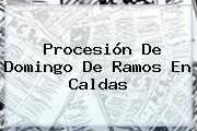 Procesión De <b>Domingo De Ramos</b> En Caldas