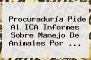 <b>Procuraduría</b> Pide Al ICA Informes Sobre Manejo De Animales Por <b>...</b>