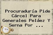 <b>Procuraduría</b> Pide Cárcel Para Generales Peláez Y Serna Por ...