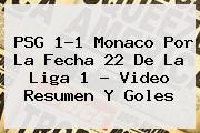 <b>PSG</b> 1-1 <b>Monaco</b> Por La Fecha 22 De La Liga 1 - Video Resumen Y Goles