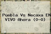 <b>Puebla Vs Necaxa</b> EN VIVO Ahora (0-0)