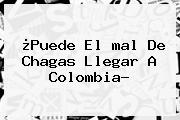 ¿Puede El <b>mal De Chagas</b> Llegar A Colombia?