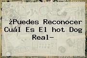 ¿Puedes Reconocer Cuál Es El <b>hot</b> Dog Real?