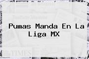 Pumas Manda En La <b>Liga MX</b>