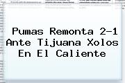<b>Pumas</b> Remonta 2-1 Ante <b>Tijuana Xolos</b> En El Caliente