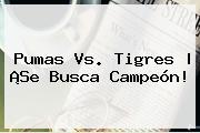 <b>Pumas Vs. Tigres</b> | ¡Se Busca Campeón!
