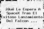 ¿Qué Le Espera A SpaceX Tras El Exitoso Lanzamiento Del <b>Falcon</b> ...