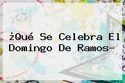 ¿Qué Se Celebra El <b>Domingo De Ramos</b>?