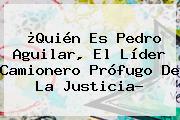 Ver quien es pedro aguilar el lider camionero profugo de la justicia ¿Quién Es <b>Pedro Aguilar</b>, El Líder Camionero Prófugo De La Justicia?