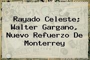Rayado Celeste; <b>Walter Gargano</b>, Nuevo Refuerzo De Monterrey