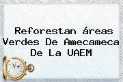 Reforestan áreas Verdes De Amecameca De La <b>UAEM</b>