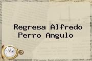<i>Regresa Alfredo Perro Angulo</i>