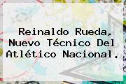 <b>Reinaldo Rueda</b>, Nuevo Técnico Del Atlético Nacional.