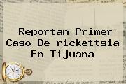 Reportan Primer Caso De <b>rickettsia</b> En Tijuana