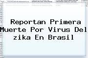 Reportan Primera Muerte Por Virus Del <b>zika</b> En Brasil