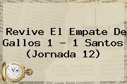 Revive El Empate De Gallos 1 - 1 <b>Santos</b> (Jornada 12)