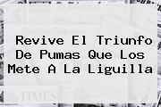 Revive El Triunfo De <b>Pumas</b> Que Los Mete A La Liguilla