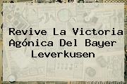 Revive La Victoria Agónica Del <b>Bayer Leverkusen</b>