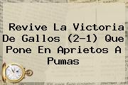 Revive La Victoria De Gallos (2-1) Que Pone En Aprietos A <b>Pumas</b>