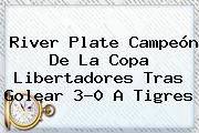 <b>River Plate</b> Campeón De La Copa Libertadores Tras Golear 3-0 A Tigres