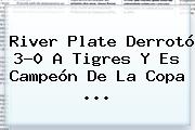 <b>River Plate</b> Derrotó 3-0 A Tigres Y Es Campeón De La Copa <b>...</b>
