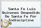 <b>Santa Fe</b> Luis Quinones Despedido De <b>Santa Fe</b> Por Indisciplina