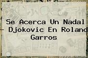Se Acerca Un Nadal - Djokovic En <b>Roland Garros</b>