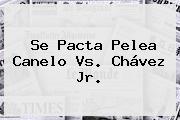 Se Pacta Pelea <b>Canelo Vs</b>. <b>Chávez</b> Jr.