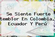 Se Siente Fuerte <b>temblor</b> En Colombia, Ecuador Y Perú