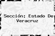 Sección: Estado De Veracruz