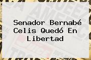 Senador <b>Bernabé Celis</b> Quedó En Libertad