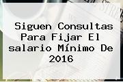 Siguen Consultas Para Fijar El <b>salario Mínimo</b> De <b>2016</b>