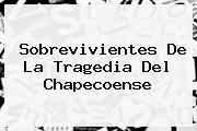 <b>Sobrevivientes</b> De La Tragedia Del <b>Chapecoense</b>