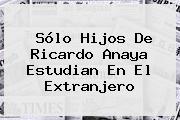 Sólo Hijos De <b>Ricardo Anaya</b> Estudian En El Extranjero